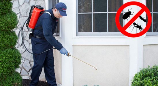 Hendek Kemirgen İlaçlama böcek ilaçlama ve haşere kontrolü — ilaclama-tr.com